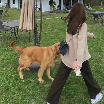狄兰·汤玛斯